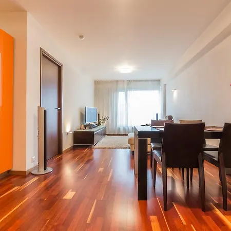 Center Joe Apartment *