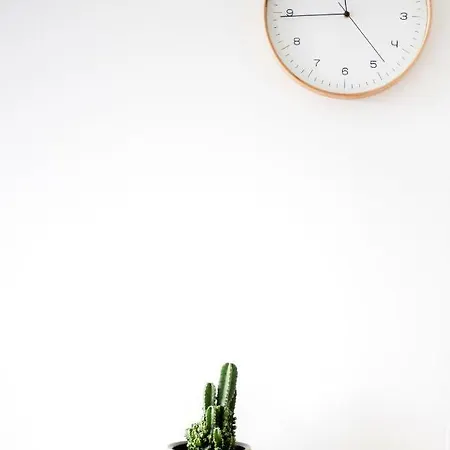 Appartamento Center Joe