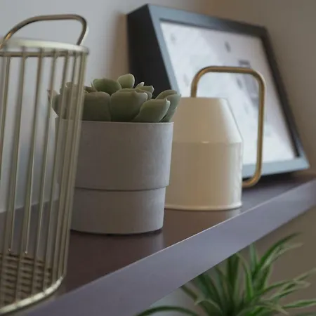 Center Joe * Tallinn