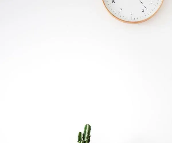 Lägenhet Center Joe